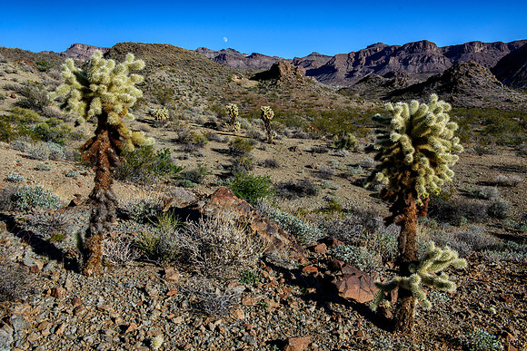 Mountains around Oatman, AZ