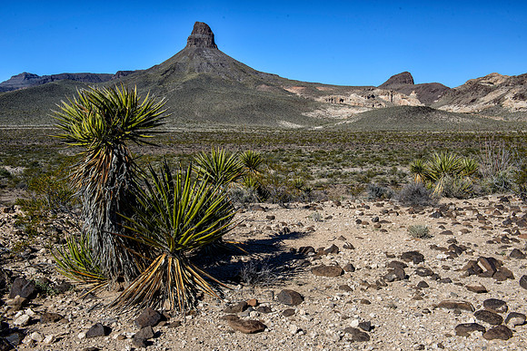 Route 66 through the mountains around Oatman, AZ