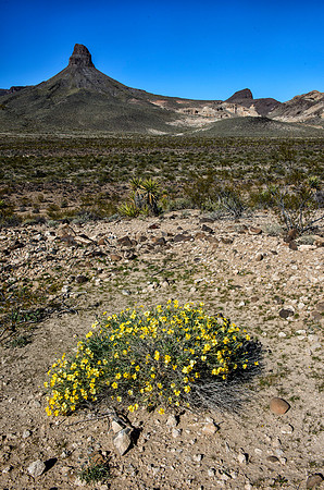 Route 66 through the mountains around Oatman, AZ