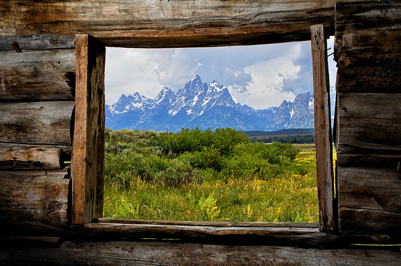 Room with a View