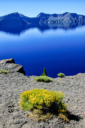 Serenity