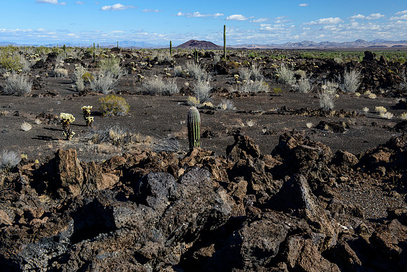 El Pinacate y Gran Desierto de Altar Biosphere Reserve - lava fields