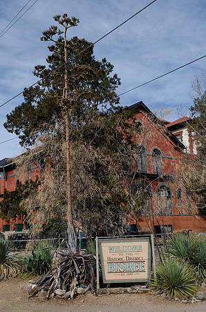 Bisbee
