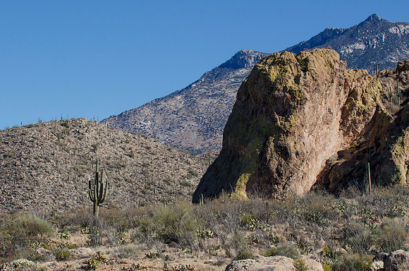 Tucson / Catalina State Park