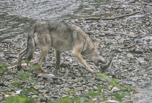 Decisive Moment