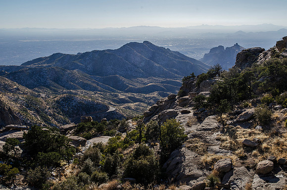 Tucson / Catalina State Park