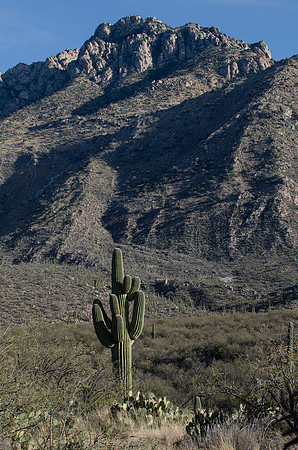 Tucson / Catalina State Park