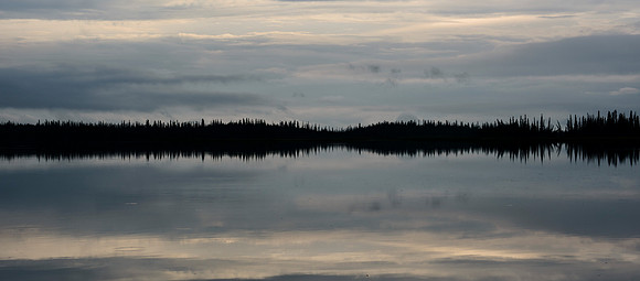 Reflection