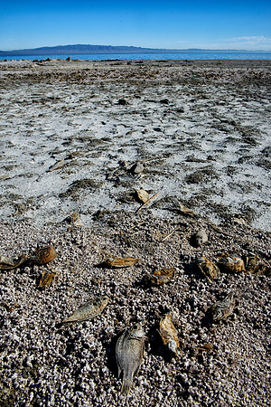 Salton Sea, CA