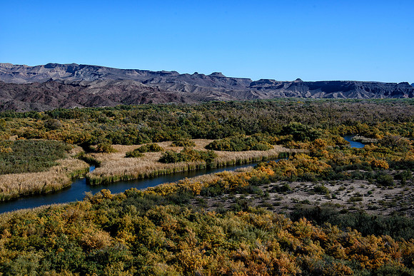 Wildlife refuge near Lake Havasu City, AZ
