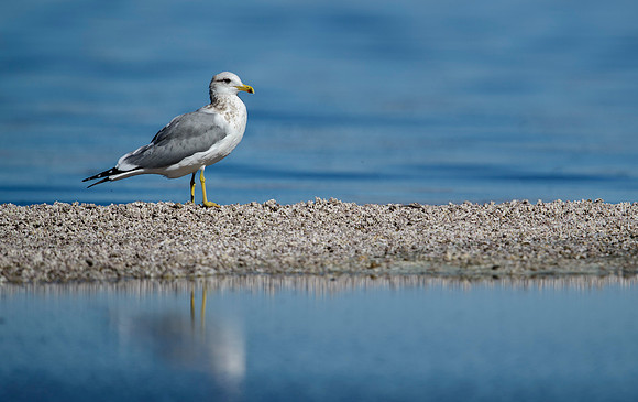 Salton Sea, CA