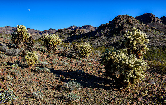 Mountains around Oatman, AZ