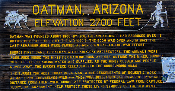 Oatman, AZ