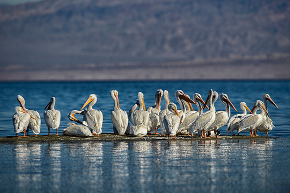 Salton Sea, CA