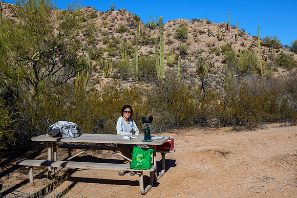 Organ Pipe Cactus national monument - picnic in the Senita basin