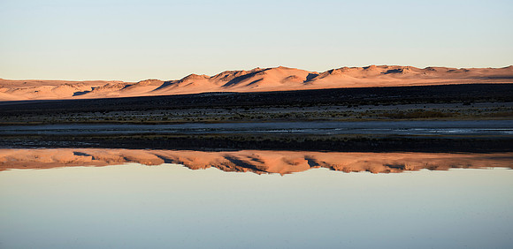 Desert Reflection