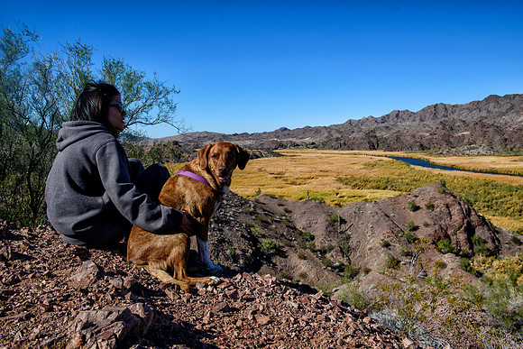 Wildlife refuge near Lake Havasu City, AZ