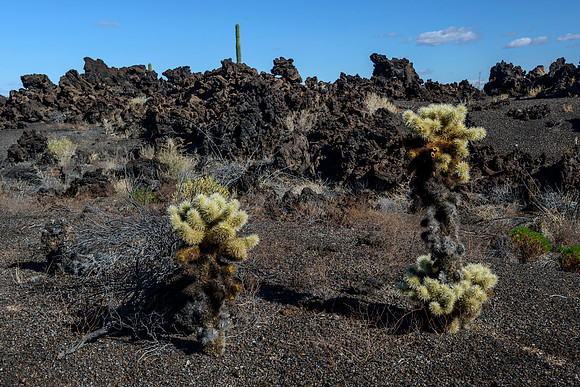 El Pinacate y Gran Desierto de Altar Biosphere Reserve - lava fields