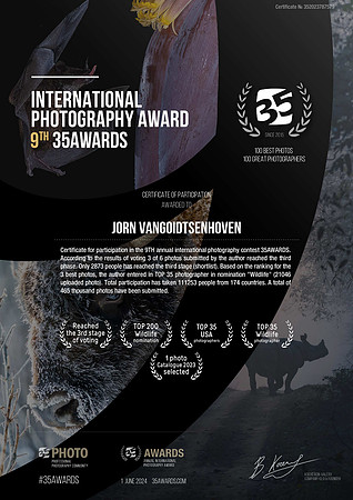 35AWARDS Certificate