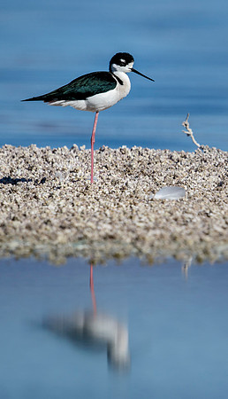Salton Sea, CA