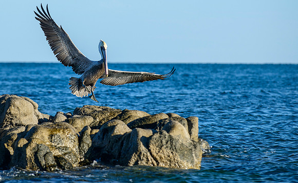 Puerto Penasco (Rocky Point), Mexico