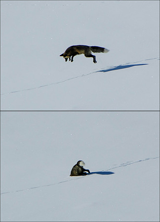 Jump