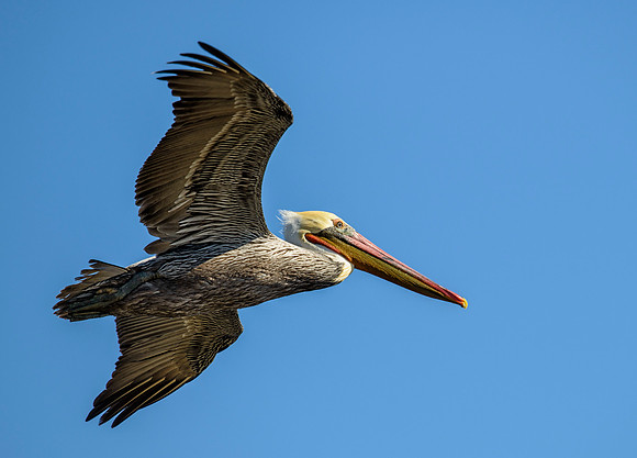 Salton Sea, CA