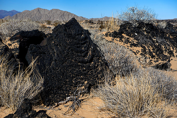 Grand Desierto biosphere reserve, Mexico