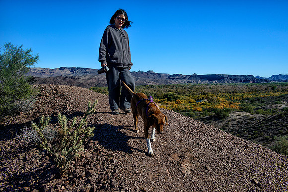 Wildlife refuge near Lake Havasu City, AZ