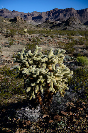 Mountains around Oatman, AZ