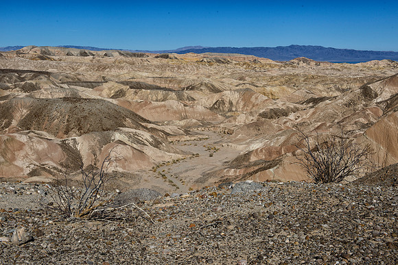 Anza Borrego Desert state park, CA