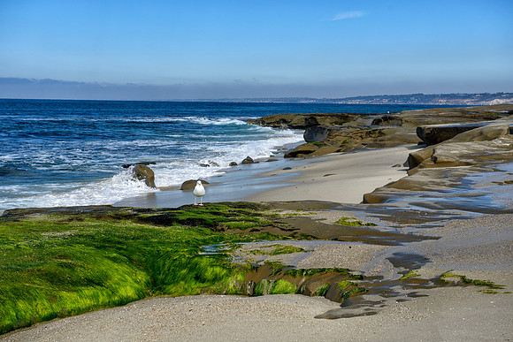 La Jolla, CA